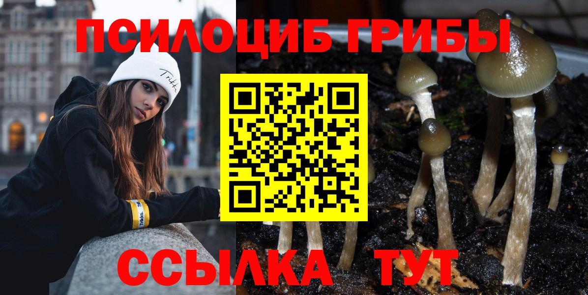 Усть-Илимск  Псилоцибиновые грибы Psilocybe  Вход с VPN  Галлюциногенные грибы Psilocybe 